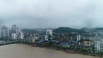 邵武在线最新信息