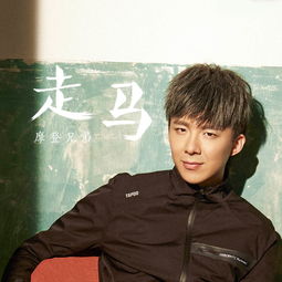 抖音歌词抖音男版走马是谁唱的 抖音摩登兄弟走马歌词