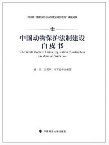 白皮书是什么意思