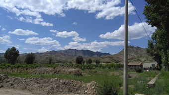 中国南北方分别包括哪些城市?