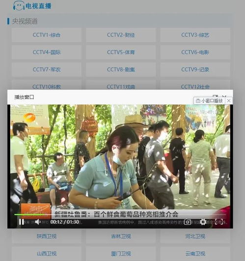 在线观看的好网站