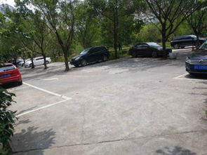 紫田网络怎么样?