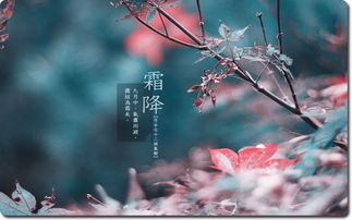 2022年霜降是什么时候