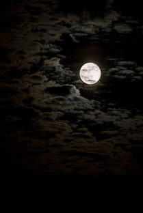 什么时候月圆，什么时候月缺