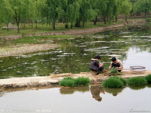 lol河流之主图片