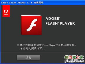 Flash软件最新版本是什么