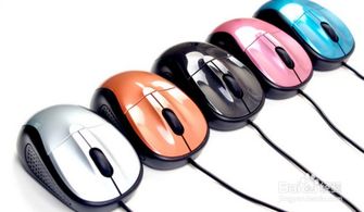 点击鼠标的情意是什么歌