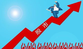 到北方创业什么项目好