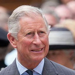 英国查尔斯王子的儿子