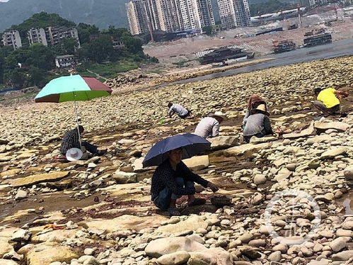 为什么有好多公司的地址都是 淘金地大厦A座1301