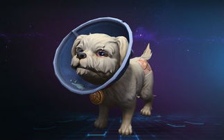 武汉英普瑞斯文化传播有限公司怎么样？