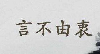 言不由衷什么意思