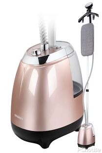 家用蒸汽电熨斗,电熨斗什么牌子好