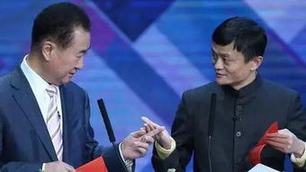 谁有万达集团老总王健林的简介。要详细一点的，比