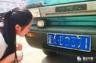 车牌怎么安装？