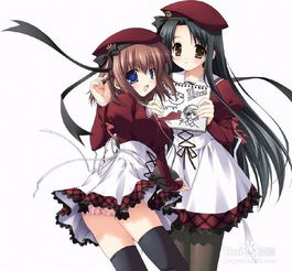 二次元是什么意思三次元是什么意思,二次元属于什么人群