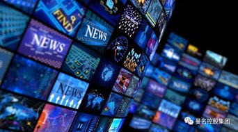 长尾定律生活中的例子,长尾定律是什么意思