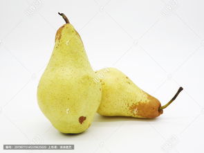 香蕉梨的功效与作用