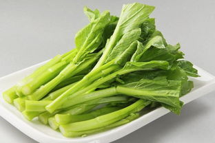 菜心是什么菜是油菜吗