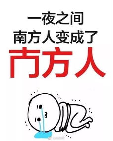 淘宝登录网络崩溃什么意思