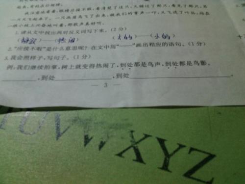 到处造句二年级上册，到处造句三年级