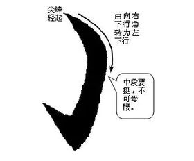 弯钩的字有哪些