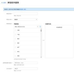 软件服务外包,软件服务公司