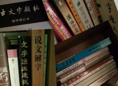 汉字叔叔建网站用了多少钱