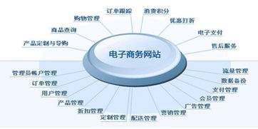 b2c电子商务平台的特点,b2c电子商务平台的主要参与者包括