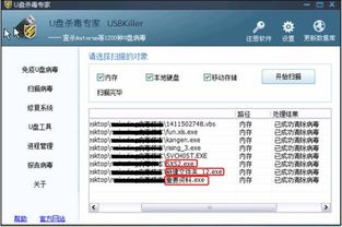 u盘病毒专杀工具v6.0,u盘中exe病毒
