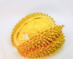 榴莲为什么那么贵有什么营养价值,哪里买榴莲便宜