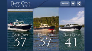 cove是什么意思？