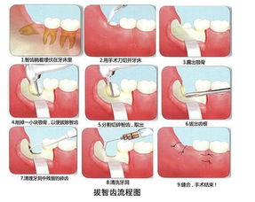 智齿科技与智齿智客是什么关系，都做客服系统吗？