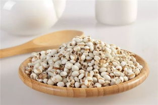 炒薏米的功效与作用和生薏米的区别，炒薏米的功效与作用禁忌症