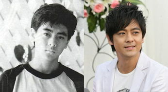 今年林志颖多少岁了？