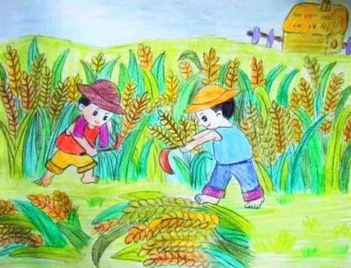 一幅图画还是一副