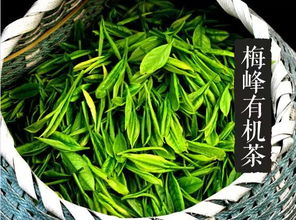 茶叶排名前十名,茶叶排名前五名