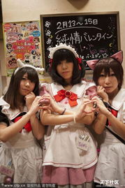 女仆餐厅的女仆用不用跪着啊