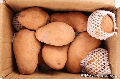 土豆放几天皮绿了还能吃吗