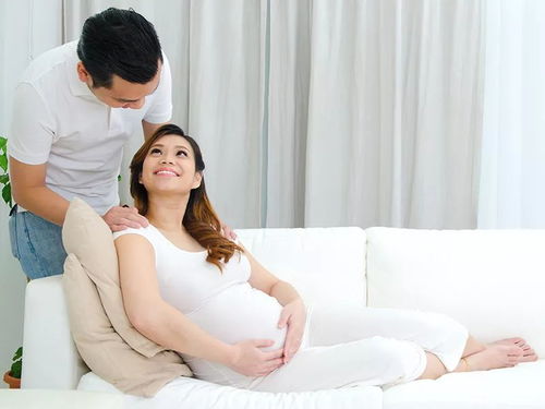 十月怀胎指南的目录