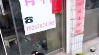 什么快递速度最快？