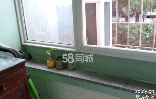 在58同城租房子，该注意些什么，我只想租4---5个月