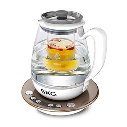 电煎药壶使用方法是什么？