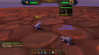 战斗之夜的时间是几点到几点？