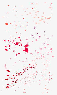 什么的花瓣怎么填空？