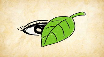 一叶障目是什么意思？