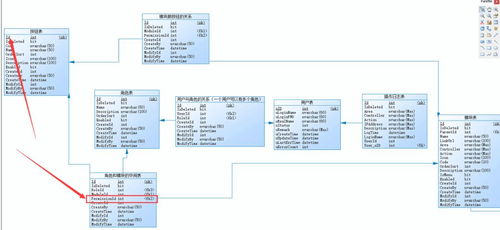如何查看数据库权限表