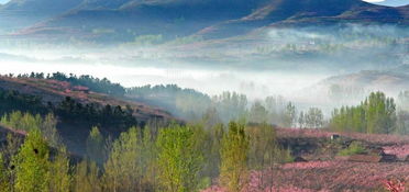 济南市周边有什么好玩的地方？