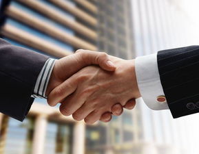 中国十大管理咨询公司？