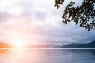 “波澜不惊”的“惊”是什么意思？